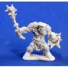 Bugbear Warrior (Reaper Bones)