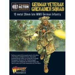 German Veteran Grenadiers...