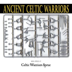 Gallic Celtic Warriors...