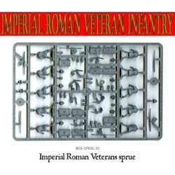 Imperial Roman Veteran...