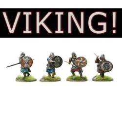 Viking Hearthguards (4)...