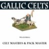 Celtic Mastiffs & Packmaster 28mm Ancients WARLORD GAMES