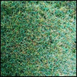 Spring Summer Static Grass Mix SCENIC TUB Basing material