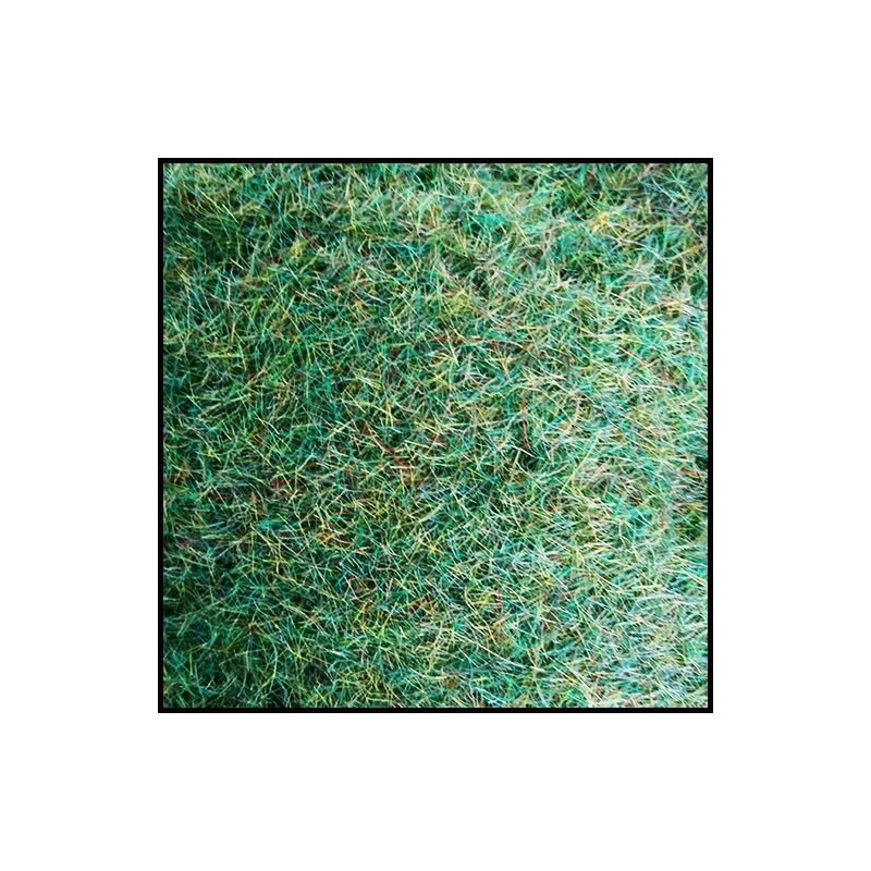 Spring Summer Static Grass Mix SCENIC TUB Basing material