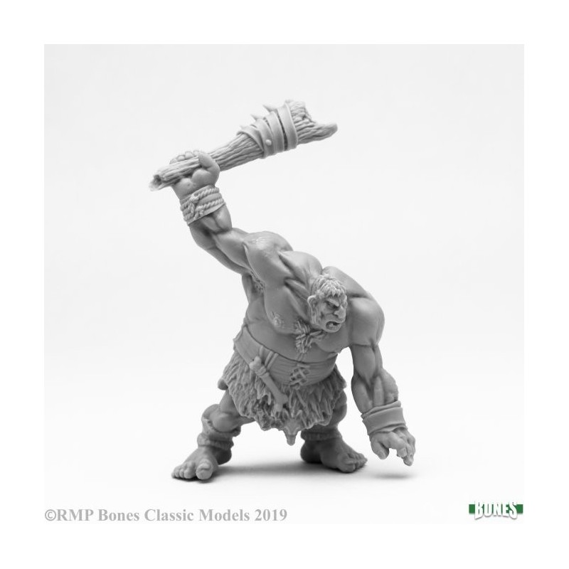 Hill Giant Lowland Warrior (Reaper Bones)