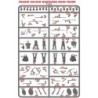 Ancient Dacians Warriors Sprue (8) 28mm Plastic VICTRIX MINIATURES