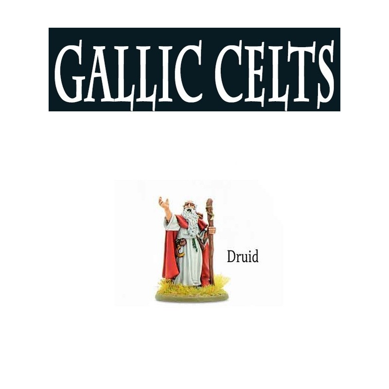 SPQR - Druid - Gaul 28mm Ancients WARLORD GAMES