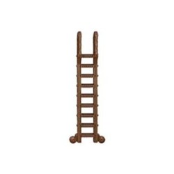 Bookshelf Ladder RPG...