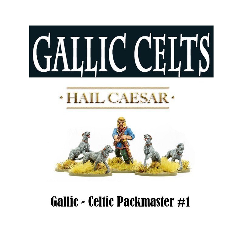 Gallic Celt Warhound Packmaster 1 28mm Ancients WARLORD GAMES